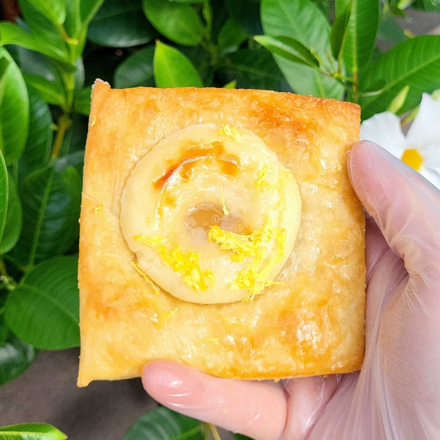 Snapchat-698356020-min Lemon Merengue